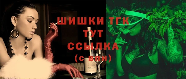 spice Михайлов