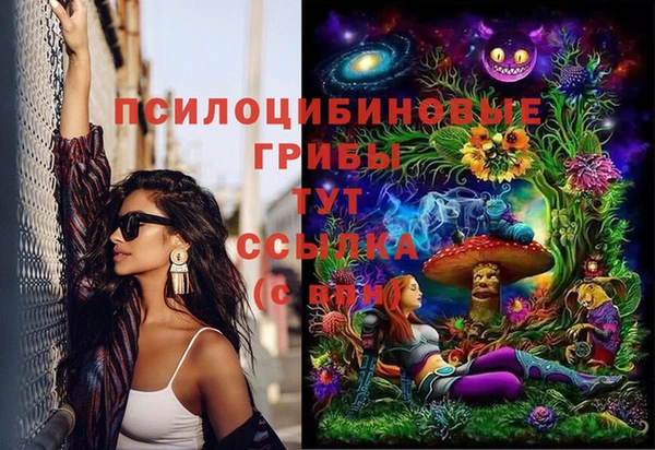 spice Михайлов