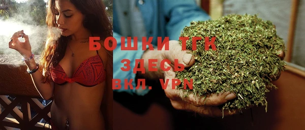 сатива Михайловка