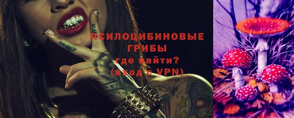 МДПВ Навашино
