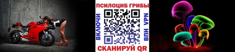 Купить где  Сысерть  Галлюциногенные грибы GOLDEN TEACHER 