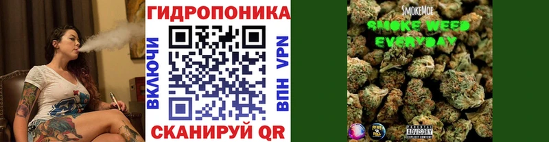 Купить где  Сысерть  Бошки марихуана Amnesia 